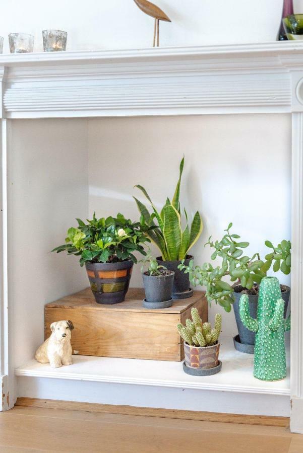 Gorgeous, 4 Bed Victorian House In Dollis Hill Villa ลอนดอน ภายนอก รูปภาพ